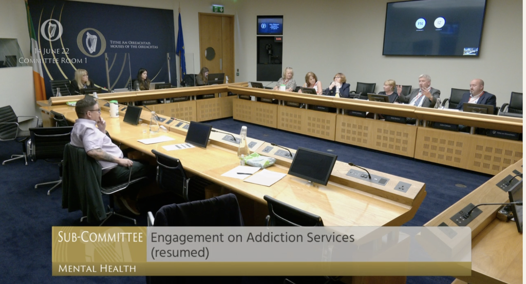 Briefing Oireachtas on Mental Health Tabor Group